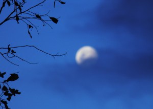 浮雲淡明月_drifting_clouds_wan_full_moon